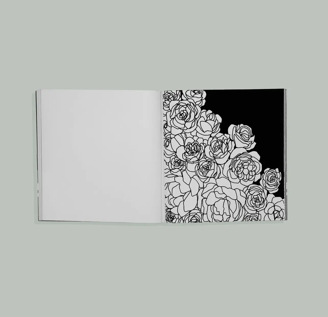 Bloom: Adult Coloring Book with Bonus Velvet Pages